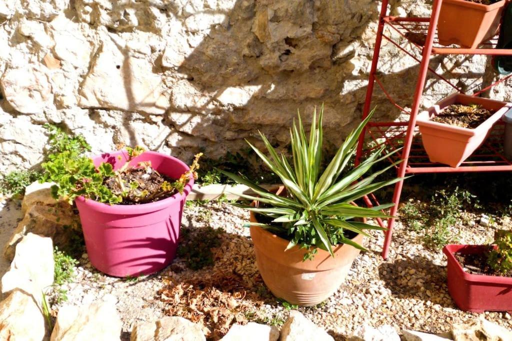 Le Loft Cosy - Centre Ville - Cadre Royal سُت المظهر الخارجي الصورة